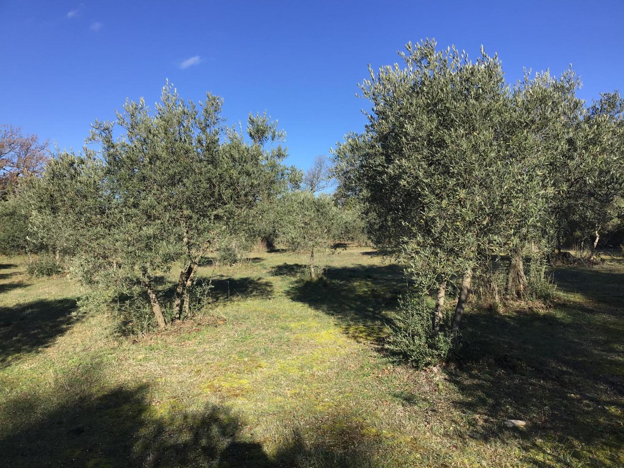 Le Verger Gordes Buitenkant foto